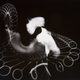 Illustration for article titled Chronophotography: The Photos That Revealed The Secrets Of Motion